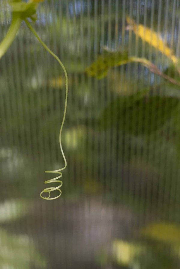 Come si può adattare un veicolo per migliorarne la stabilità in condizioni di vento forte?